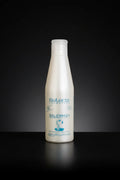 Salerm 21 250 ml